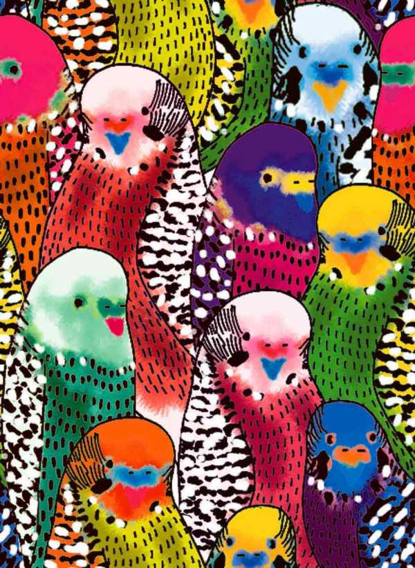 Druk na tkaninie- kolorowe malowane papużki 