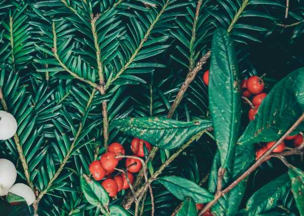 Druk na tkaninie- zielone gałązki stroik świąteczny