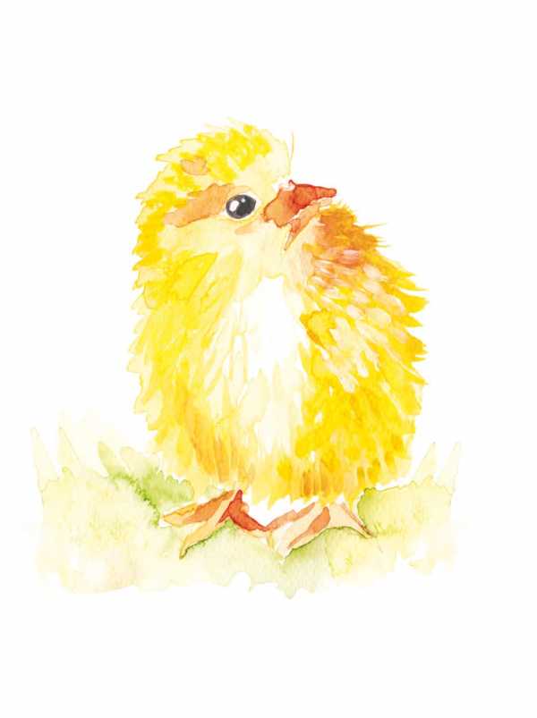 Druk na tkaninie- wielkanocny kurczaczek z kolorowymi pisankami 