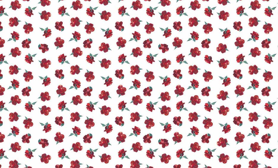 Zdjęcie prezentujące wzór do nadruku na tkaniny poliestrowe w czerwone goździki na białym tle